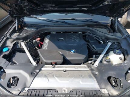 5UX53DP03P9N70024 2023 BMW