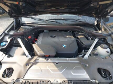 5UX53DP0XR9W40427 2024 BMW