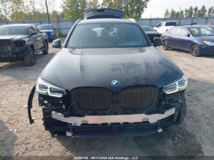 5UX53DP0XR9W40427 2024 BMW