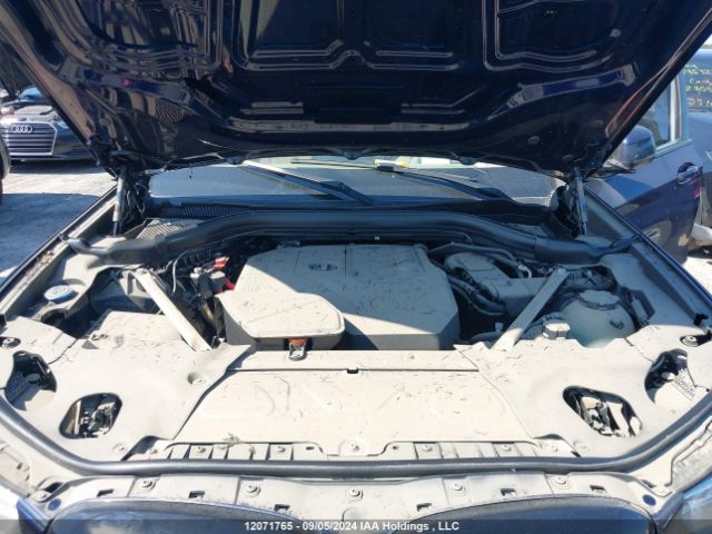 5UX53DP0XR9U04585 2024 BMW