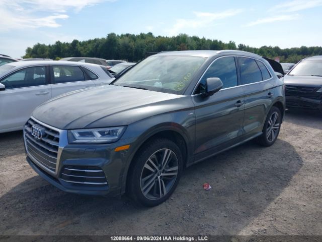 WA1FNAFY7K2038177 2019 AUDI