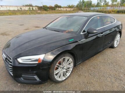 WAUANCF56KA078495 2019 AUDI