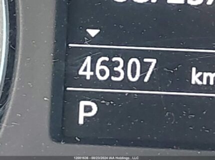 WAUBEGFF0K1026834 2019 AUDI