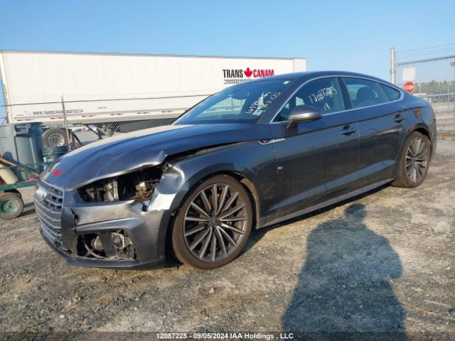 WAUFNCF53KA058405 2019 AUDI