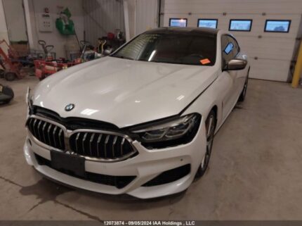WBAGV8C04LCD80991 2020 BMW