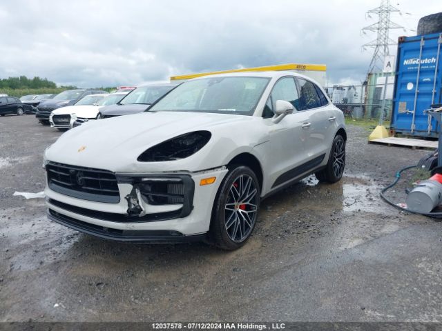WP1AG2A56RLB36312 2024 PORSCHE