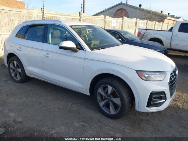 WA1AAAFY2R2087027 2024 AUDI