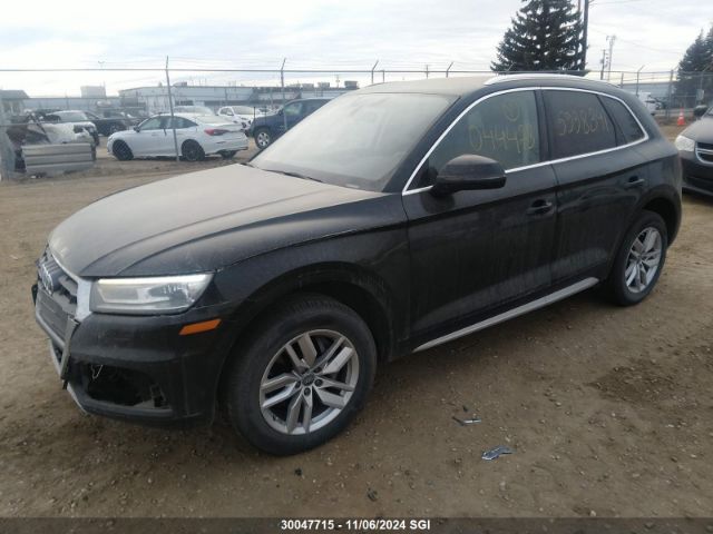 WA1ANAFY5K2044473 2019 AUDI