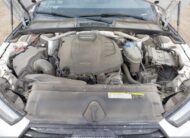 WAUENAF46HN018778 2017 AUDI