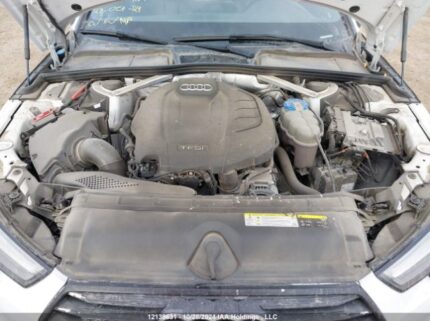 WAUENAF46HN018778 2017 AUDI