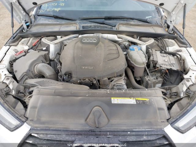 WAUENAF46HN018778 2017 AUDI