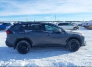 2T3B1RFVXRC426950 2024 TOYOTA