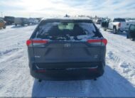 2T3B1RFVXRC426950 2024 TOYOTA