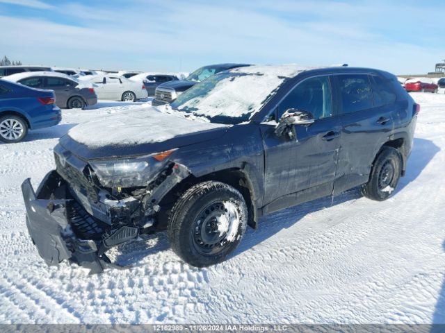 2T3B1RFVXRC426950 2024 TOYOTA