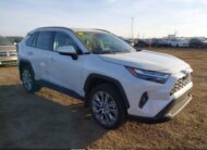 2T3R1RFV0PW394309 2023 TOYOTA