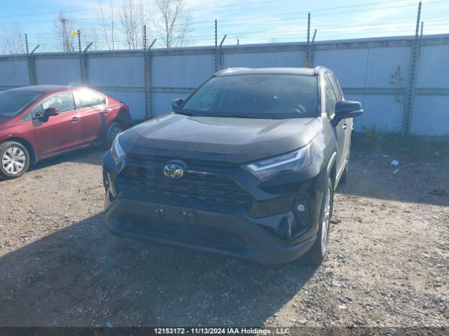 2T3R1RFV3RC478516 2024 TOYOTA