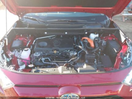 2T3RWRFV0PW166182 2023 TOYOTA