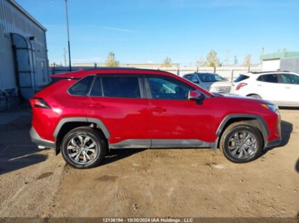 2T3RWRFV0PW166182 2023 TOYOTA