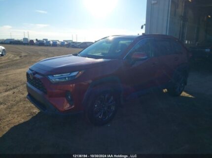 2T3RWRFV0PW166182 2023 TOYOTA