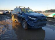 2T3RWRFV5RW195602 2024 TOYOTA
