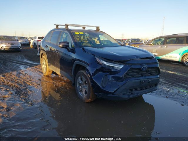 2T3RWRFV5RW195602 2024 TOYOTA