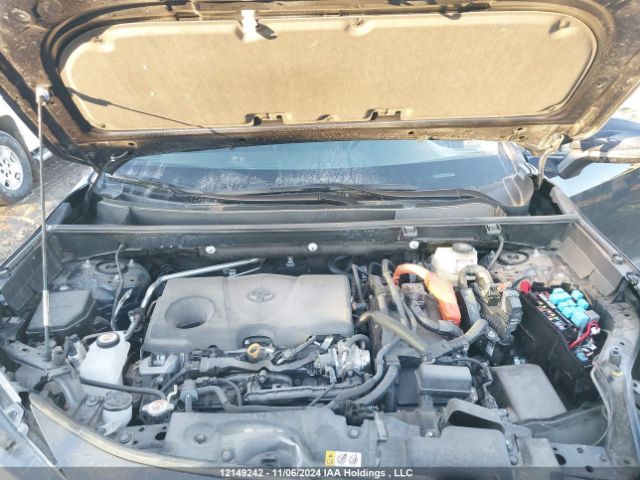 2T3RWRFV5RW195602 2024 TOYOTA