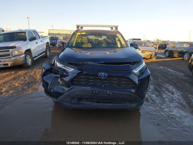 2T3RWRFV5RW195602 2024 TOYOTA