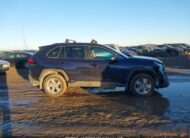 2T3RWRFV5RW195602 2024 TOYOTA