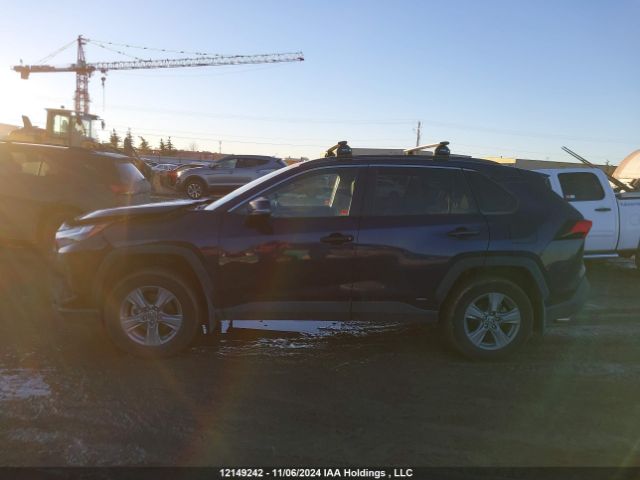 2T3RWRFV5RW195602 2024 TOYOTA