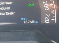 2T3RWRFV5RW195602 2024 TOYOTA
