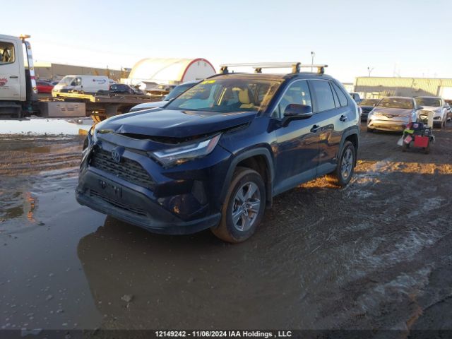 2T3RWRFV5RW195602 2024 TOYOTA