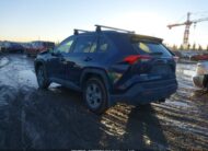 2T3RWRFV5RW195602 2024 TOYOTA