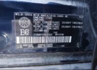 2T3RWRFV5RW195602 2024 TOYOTA