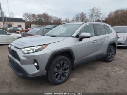 2T3RWRFV7PW154496 2023 TOYOTA