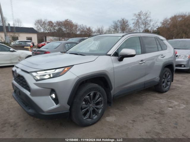 2T3RWRFV7PW154496 2023 TOYOTA