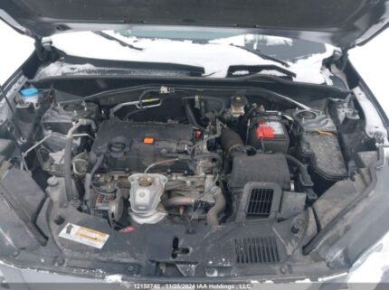 3CZRZ2H33PM102983 2023 HONDA