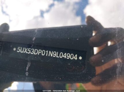 5UX53DP01N9l04904 2022 BMW
