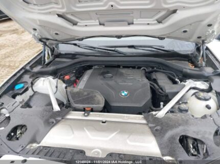 5UX53DP02R9u22871 2024 BMW