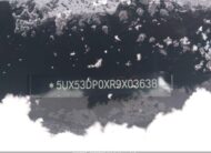5UX53DP0XR9x03638 2024 BMW