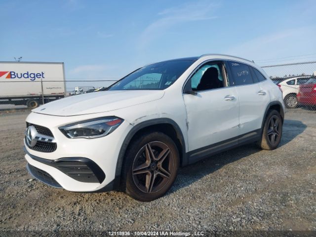 W1N4N4HB8MJ178120 2021 MERCEDES-BENZ