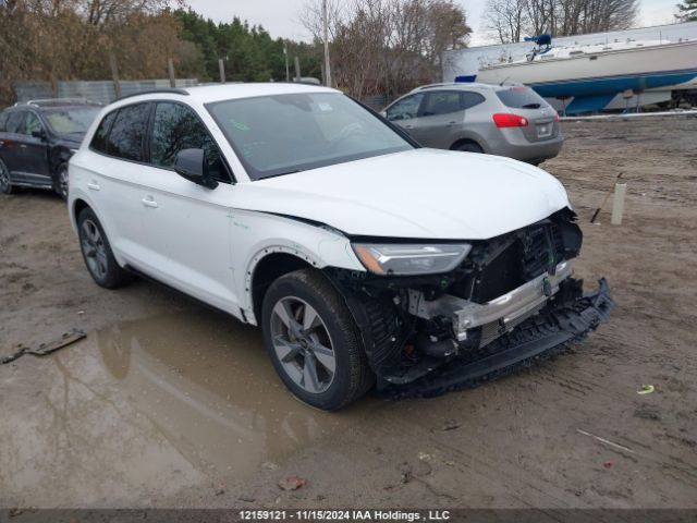 WA1ABAFY4R2902061 2024 AUDI