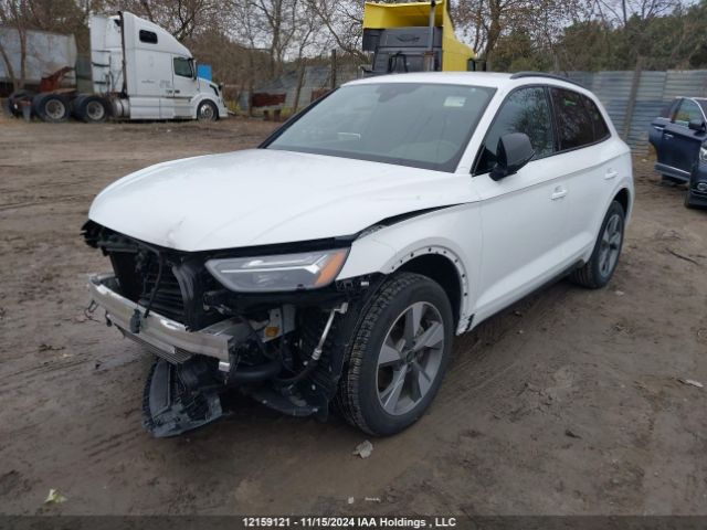 WA1ABAFY4R2902061 2024 AUDI