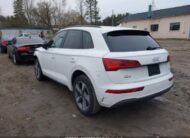 WA1ABAFY4R2902061 2024 AUDI
