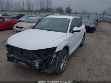 WA1ANAFY8K2044404 2019 AUDI