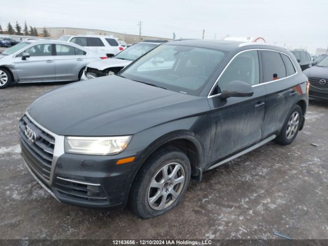 WA1BNAFY8K2025033 2019 AUDI