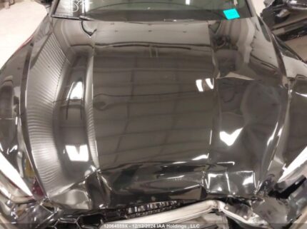WAUA4CF56PA056412 2023 AUDI