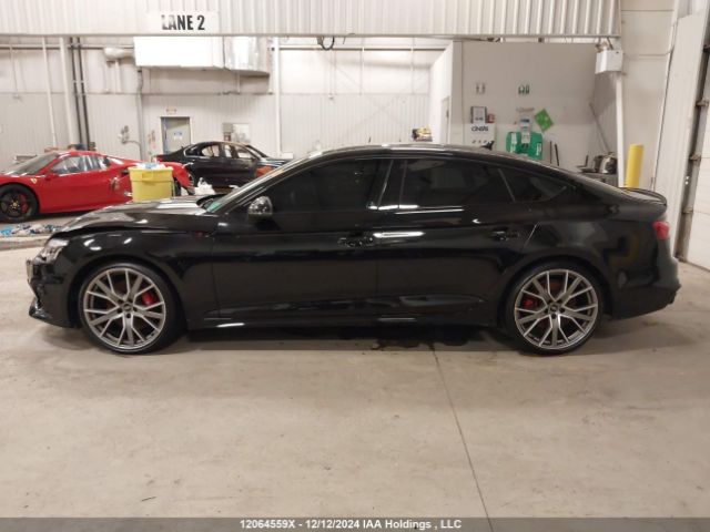 WAUA4CF56PA056412 2023 AUDI