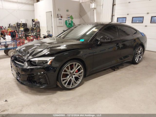 WAUA4CF56PA056412 2023 AUDI