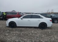 WAUANAF47KA054217 2019 AUDI
