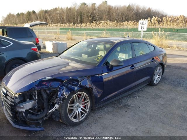 WAUC4CF57KA045243 2019 AUDI